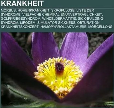 Immagine prodotto di Krankheit