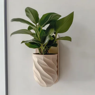 Wandpflanzgefäß für den Innenbereich – Decords Wandregal, Produktansicht 1