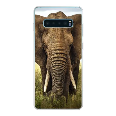 Produktbild von MuchoWow® Handyhülle Schutzhülle Hülle für Samsung Galaxy S10 Plus Elefant - Gras - Tiere - Natur Silikon Softcase Handy Hülle - Schutzhülle