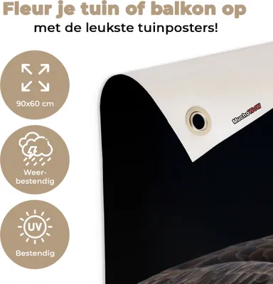 Produktbild von MuchoWow®