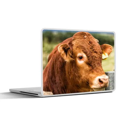 Produktbild von MuchoWow® Laptop Aufkleber Sticker Cover Schottischer Highlander - Berg - Zaun 30x22 cm - Laptop-Sticker