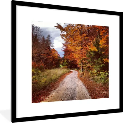 Produktbild von MuchoWow® Gerahmtes Poster Herbst - Herbstblätter - Weg - Wald 40x40 cm - Poster mit Schwarzem Bilderrahmen Wandposter Rahmen Foto Bilder - Poster - Plakat im Rahmen