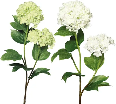 Produktbild von Schneebälle Kunstblumen künstliche Blumen Dekozweige 1 Stk Länge 48 cm - 2 Farben, 5_Farbe:Hellgrün