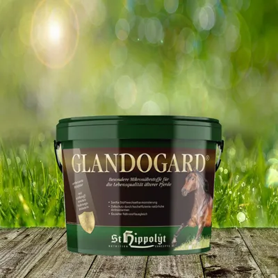 Produktbild von St. Hippolyt Glandogard | 3,75 kg