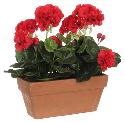 Produktbild von Mica Decorations Geranien Kunstpflanze im Balkonkasten - L29 x B13 x H40 cm - Rot