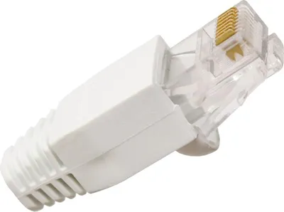 Productafbeelding van NETTRIXX - CAT6 RJ45-datakabelconnector met witte clipsbescherming - 400002