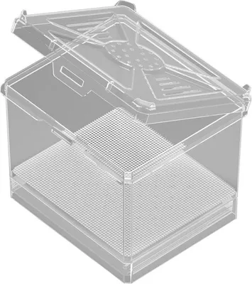 Produktbild von Famanu Spinnenterrarium - Belüfteter Futterbehälter - Transparent