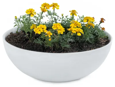 Immagine prodotto di Fioriera rotonda bulbosa da 20 cm per esterni, grigio chiaro marmorizzato