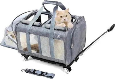 Image de Sac de transport pour chat - Cage de transport pour chat - Transport de chat - Sac de voyage pour animaux de compagnie