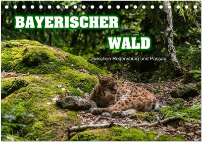Produktbild von Bayerischer Wald (Tischkalender 2025 DIN A5 quer), CALVENDO Monatskalender