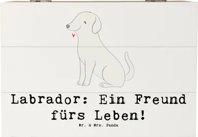 Produktbild von Mr. & Mrs. Panda Schatulle Labrador Freund 22 x 15 cm - Weiß - Geschenk, kinderfreundlich, Hundeliebhaber, energiegeladener Hund, Hunderasse, fotobox, liebevoller, Box