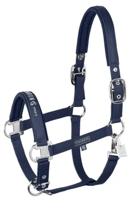 Produktbild von Eskadron Classic Sports 26 Sparkle Double Pin Halfter