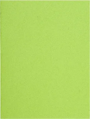 Image de Exacompta 5x 100 chemises 100% recyclé 24x32cm Tilleul 160013E