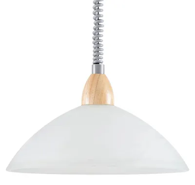Image de EGLO LORD 2 Lampe suspendue à une flamme