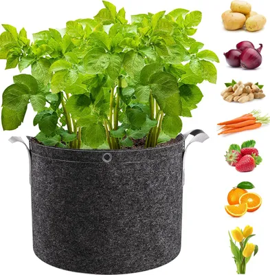 Produktbild von 3 Gallonen Pflanztasche mit Griffen，Pflanze Wachsende Tasche Kartoffelsack Pflanzbeutel für Gemüse, Blumen, Früchte