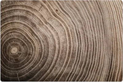 Produktbild von Küchenmatte 60x90 cm Vinylmatte Bodenmatte Dekoration - Holz Stamm