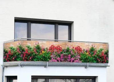 Produktbild von Sichtschutz für Balkon "Wallflowers"