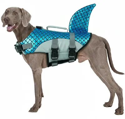 Hunde-Schwimmweste mit Haifischflosse, Blau, XL