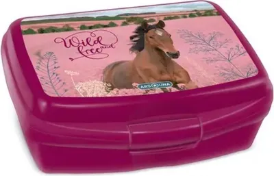 Image de Food Box Wild and Free (5359) 24