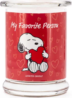 Obrázok produktu pre Môj obľúbený Person - vonná sviečka 250g od Peanuts
