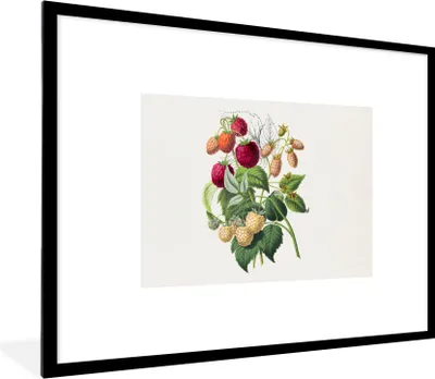 Produktbild von MuchoWow® Gerahmtes Poster Himbeere - Frucht - Pflanze 80x60 cm - Poster mit Schwarzem Bilderrahmen Wandposter Rahmen Foto Bilder - Schlafzimmer-Dekorationen - Fotoposter