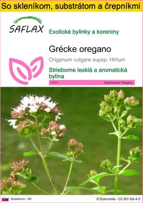 Obrázok produktu pre SAFLAX Kultivačný set - Grécke oregano - Origanum vulgare supsp. Hirtum - 600 Semená - S mini skleníkom, pestovateľským substrátom a 2 črepníkmi