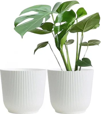 Produktbild von Famanu Pflanztöpfe Set 2 große weiße Kunststofftöpfe - 22 cm für Innen und Außen - Matt Weiß