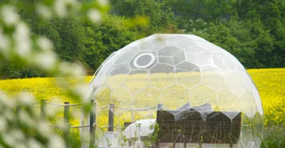 Produktbild von mydays Bubble Übernachtung Kalletal für 2 (1 Nacht); Erlebnis verschenken oder selbst erleben; Gutschein für 2 Person(en)