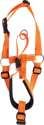 Image de Headcollar Dog empêcher le dépôt de l'embouchure