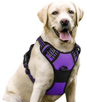 Produktbild von Hundegeschirr Anti-Zug L Lila mit Reflektor und Griff