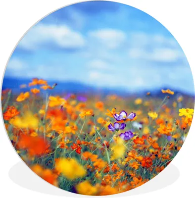 Produktbild von MuchoWow® - Wand-Kreis - Wohnzimmer - Bild - Runde - Wanddeko - Dibond - Kunstdrucke