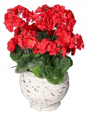 Produktbild von DEKO Künstliche Pelargonie im Topf, täuschend echt
