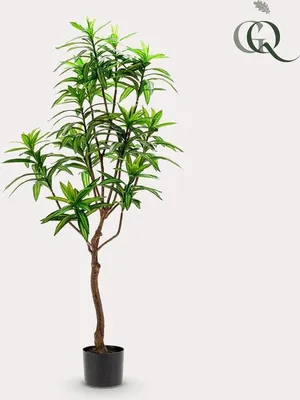 Produktbild von Famanu Kunstpflanze Dracaena - Drakenbaum - 130 cm