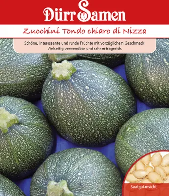 Produktbild von Dürr-Samen - Zucchini Tondo chiaro di Nizza - Saatgut - 0982