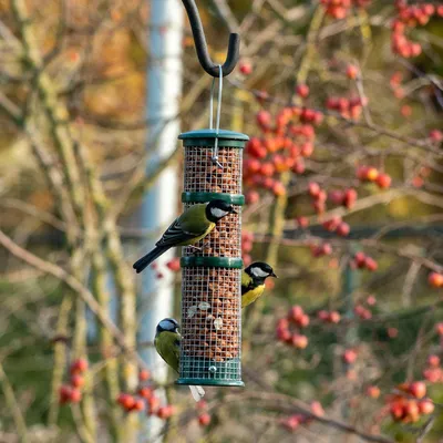 Produktbild von NABU Futtersäule Vögel - Erdnusssäule - Kunststoff, Grün - Jungvogelsicher, für 3–4 Vögel - zum Aufhängen an Ästen, Haken oder Halterungen