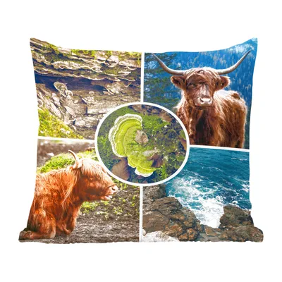 Produktbild von MuchoWow® Zierkissen Sofakissen Wohnzimmer Dekokissen 50x50 cm Schottische Hochlandrind - Tiere - Natur - Komfort - Sofakissen