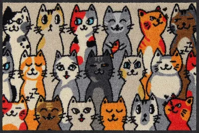 Produktbild von Salonloewe KITTY PEOPLE Fußmatte Wohnmatte 50 x 75 cm