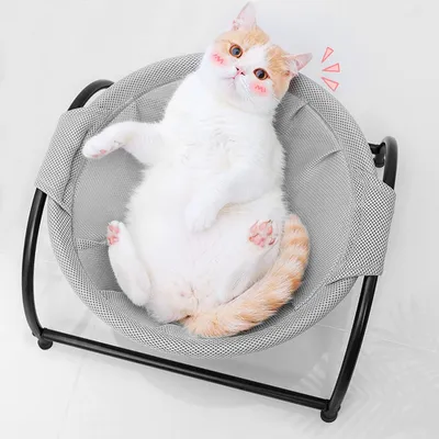 Produktbild von Katzenbett Hundebett Katzen Hängematte Katzennest für Katze und Kleine Hund Abnehmbar