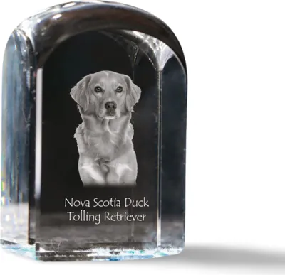 Image de Retriever de Nouvelle-Écosse - cube en cristal avec photo, photo du chien en cristal, bouton cubique sur papier de la marque Art-Dog