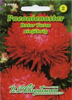 Produktbild von [STREICHUNG 2026] Paeonienaster Roter Turm | Asternsamen von N.L. Chrestensen