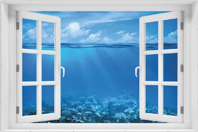 Produktbild von Wallario Wandbild mit Fenster-Illusion: Unterwasserwelt Meer, Größe: 61 x 91,5 cm, Poster mit rahmenlosen Bildhalter