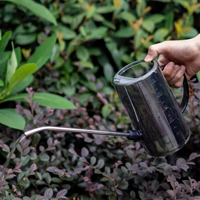 Image de arrosoir 1L PP entièrement transparent Arrosoir pour plantes d'intérieur avec long bec pour le jardin Starry Gray