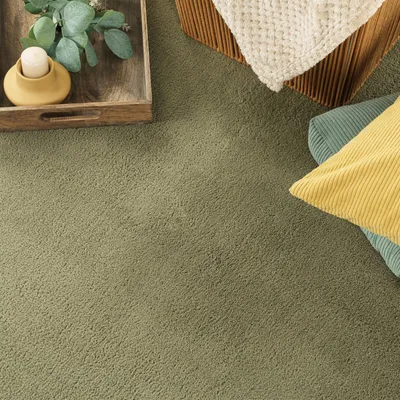Produktbild von Teppich Kurzflor waschbar Unifarben Wohnzimmer schmutzabweisend Hellgrün Läufer 60x100 | 100% Polyester | Florhöhe: 10 mm | pflegeleicht