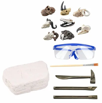 Produktbild von LEAN Toys 28928 Archäologisches Ausgrabungsset, Schädel, Knochen, Werkzeuge und Zubehör