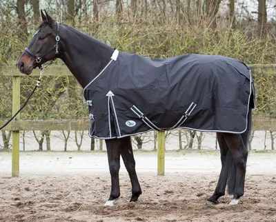Produktbild von Harrys Horse Regendecke Thor 0g Fleece Lining Schwarz PONY 95cm