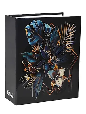 Image de VMC ALBUM pour 304 photos 10x15 cm. pochette sans description MONSTERA2 noir