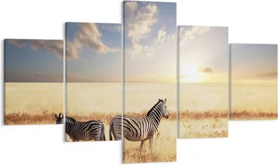 Produktbild von Bild auf Leinwand - Leinwandbild - Zebra tier gestreift savanne - 125x70cm - Wand Bild - Wanddeko - Leinwanddruck - Bilder - Kunstdruck - Wanddekoration - Leinwand bilder - Wandkunst - EA125x70-2596