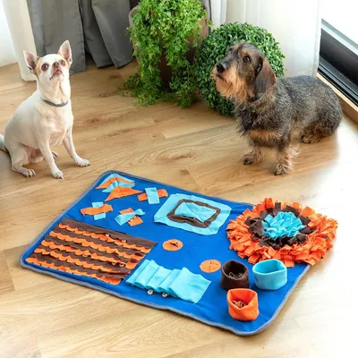 Image de Tapis renifleur pour animaux domestiques Foopark InnovaGoods