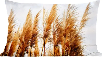Produktbild von MuchoWow® Zierkissen Sofakissen Wohnzimmer Dekokissen 60x40 cm Pampasgras - Sonne - Gras - Kopfkissen - Polster mit Foto