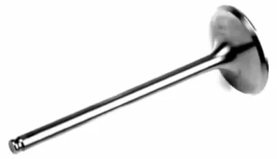 Imagen del producto de ATHENA VI-250204T: Válvula de admisión